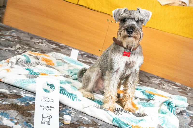 Zsóry Liget Hotel & Spa***superior