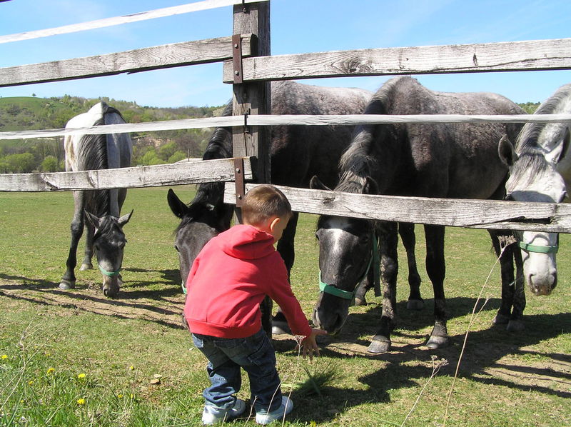 Harmónia Wellness Villa