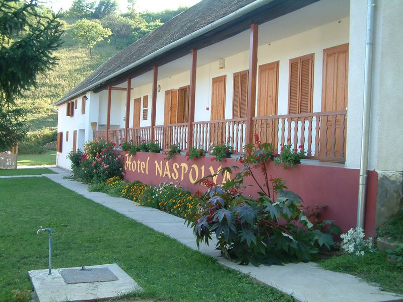 Naspolya Panzió