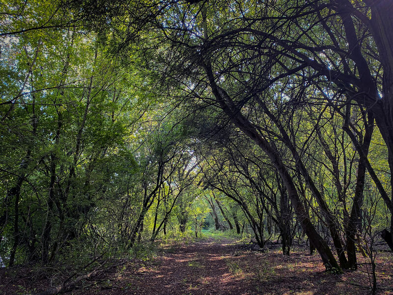 Sziget Hotel Veránka