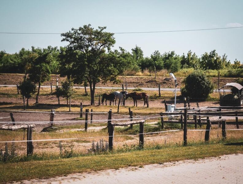 Hétkúti Wellness Hotel