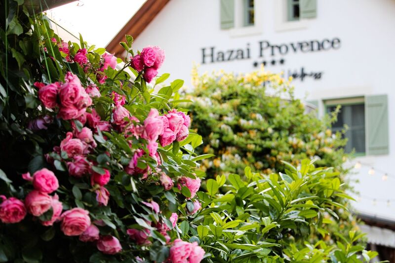 Hazai Provence