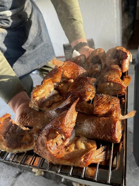 Sziget Hotel Veránka