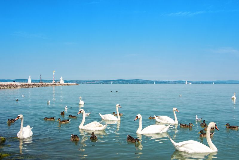 Balaton