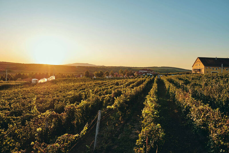 Egri Korona Borház és Wellness Hotel
