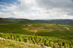 Gondtalan pihenés Tokaj-Hegyalján!