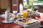 Csodás erdei wellness pihenés!