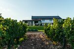 Feltöltődés a Balaton-felvidéken!