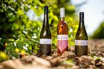 Feltöltődés a Balaton-felvidéken!