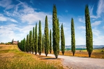 6 nap a napfényes Toszkánában!