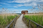 Gondűző pihenés a Tisza-tónál!