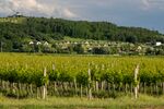 Tökéletes pihenés a Tokaji borvidéken!